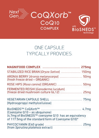 Pasted image 20250820222609.png