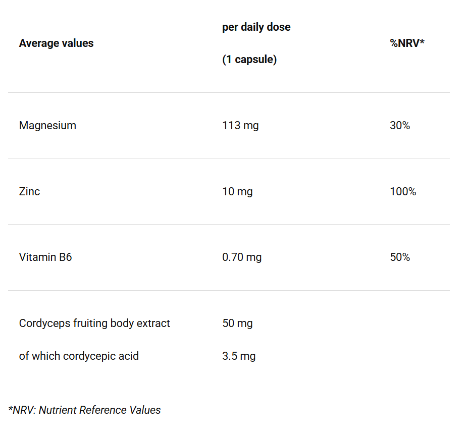 Pasted image 20250821094531.png