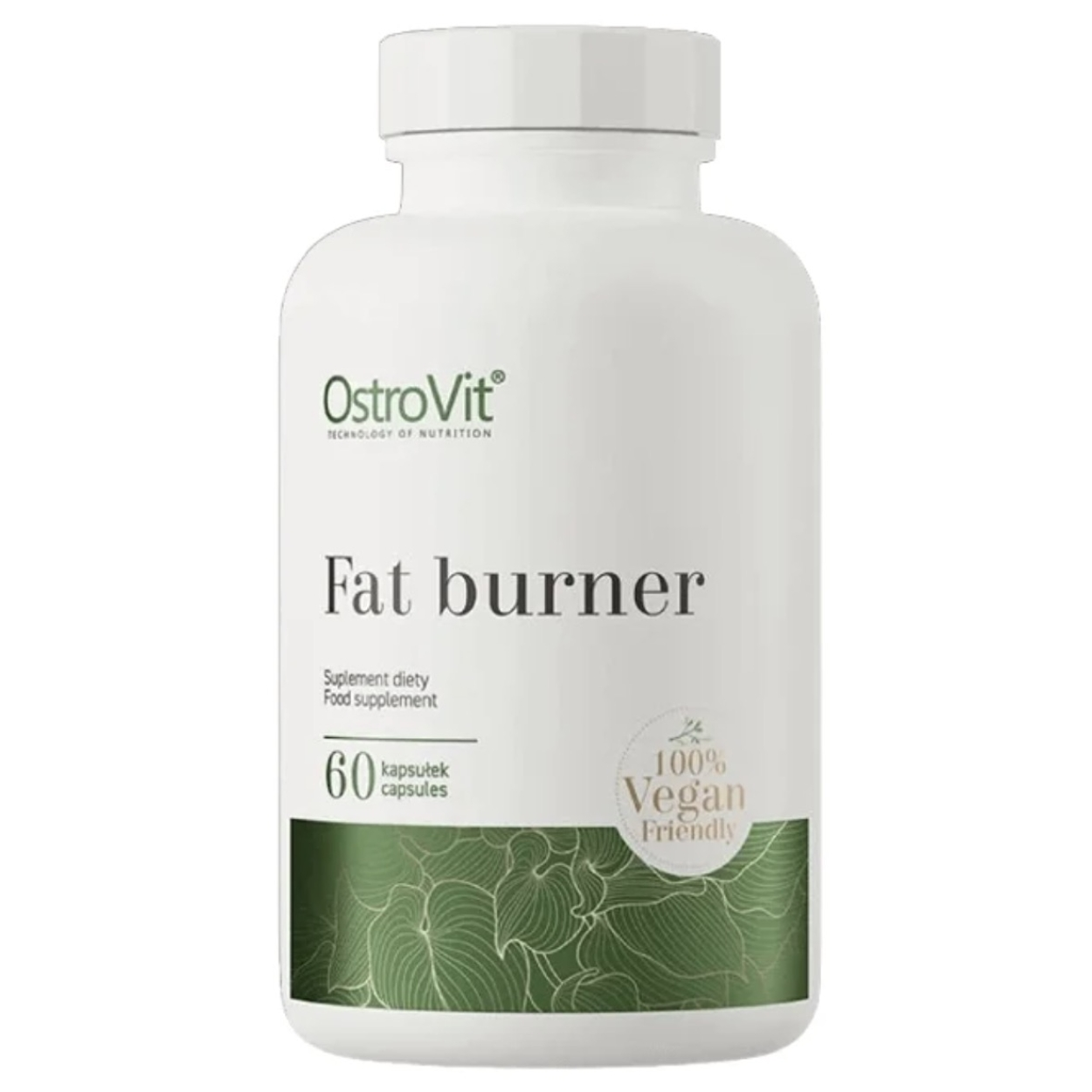 Pasted image 20250822100840.png